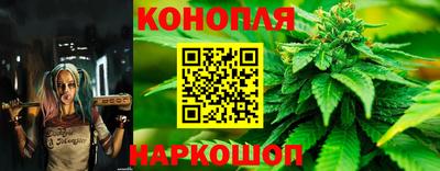 2c-b Гатчина