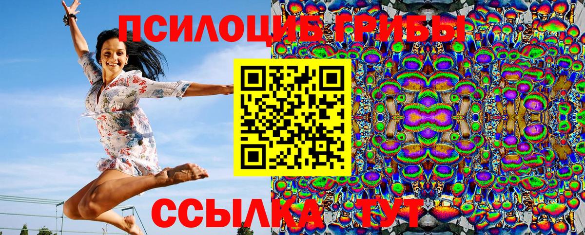 Псилоцибиновые грибы Psilocybine cubensis Балашиха