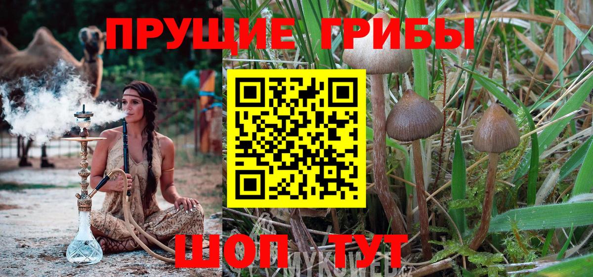Балашиха  Галлюциногенные грибы мицелий  купить наркотики цена  Вход с VPN 